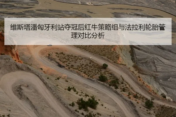 维斯塔潘匈牙利站夺冠后红牛策略组与法拉利轮胎管理对比分析 - hth